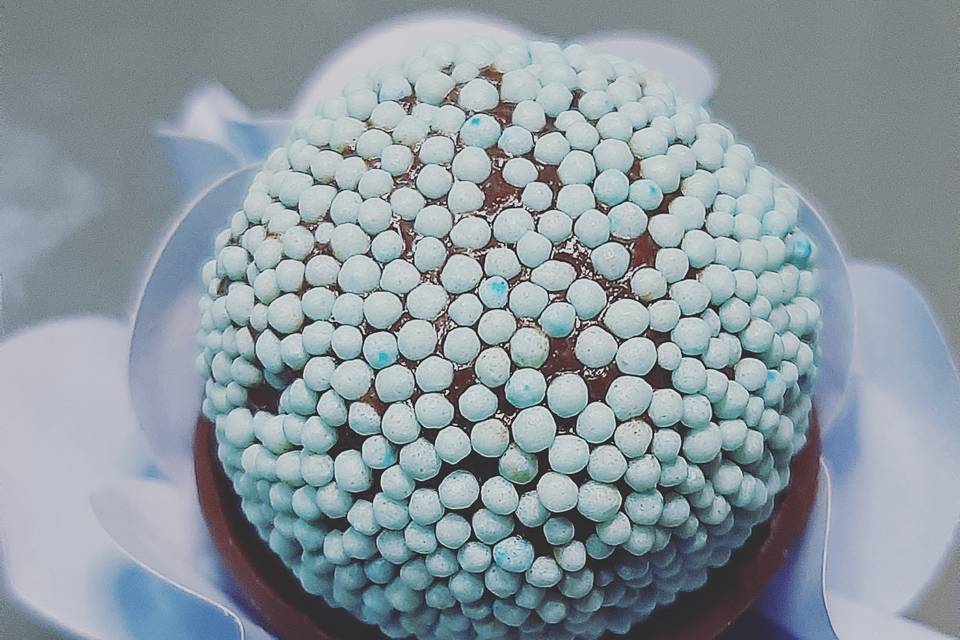 Brigadeiro