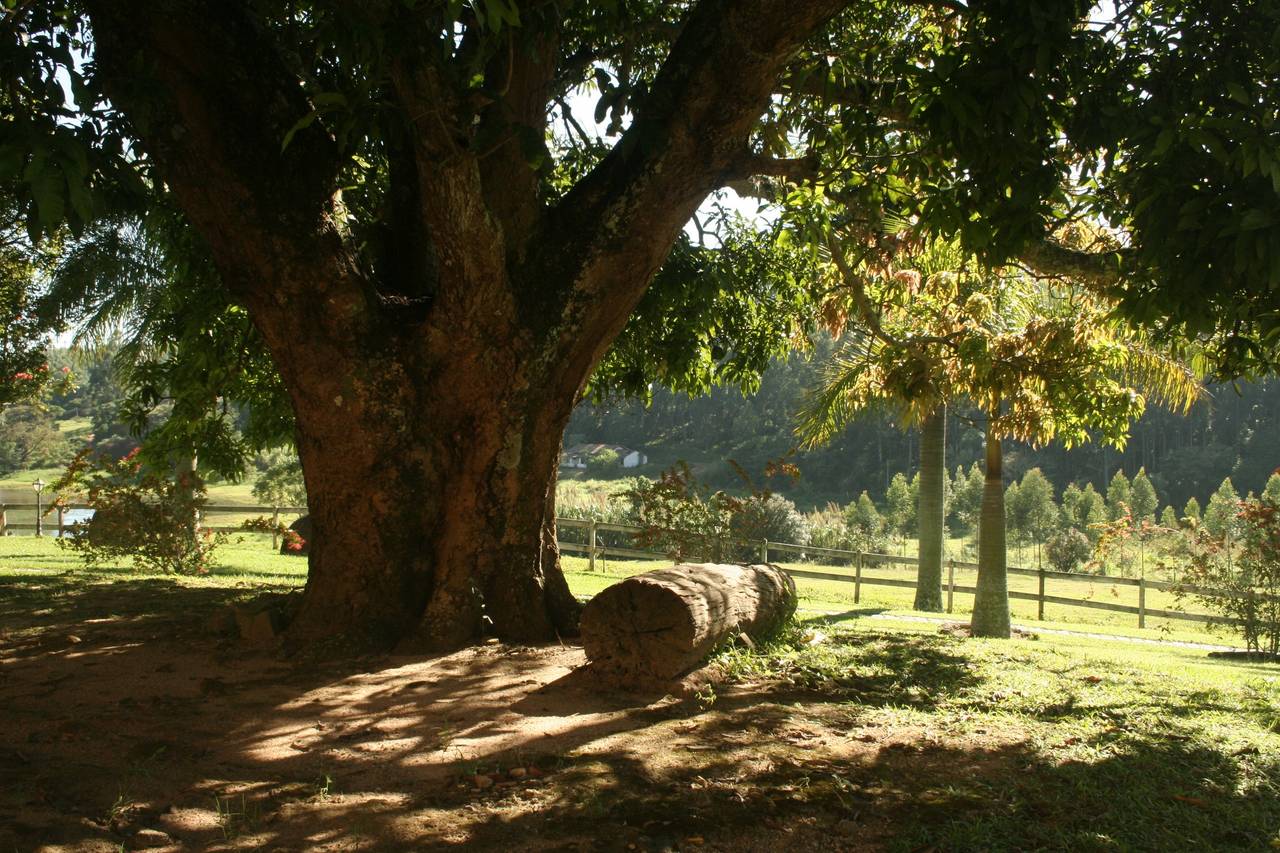 Fazenda Santa Maria Consulte Disponibilidade E Pre Os