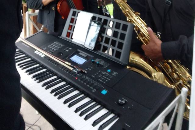 Música para casamentos