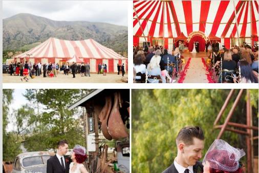 Casamento no circo