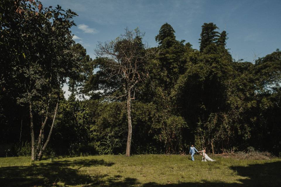 Bosque Gramado