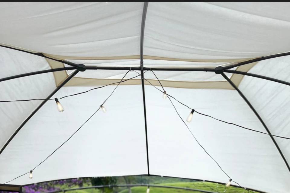 Minimalista Rose e creme