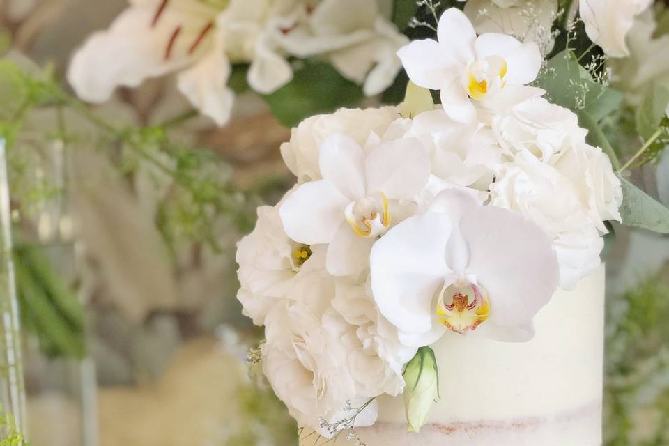 Adriana Boccomino - Bolos de casamento