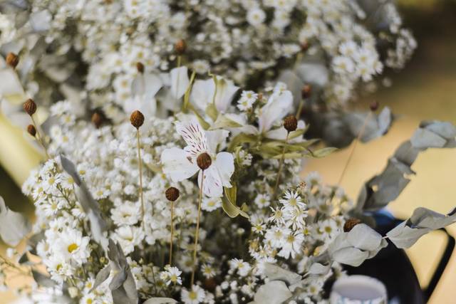 Flores secas
