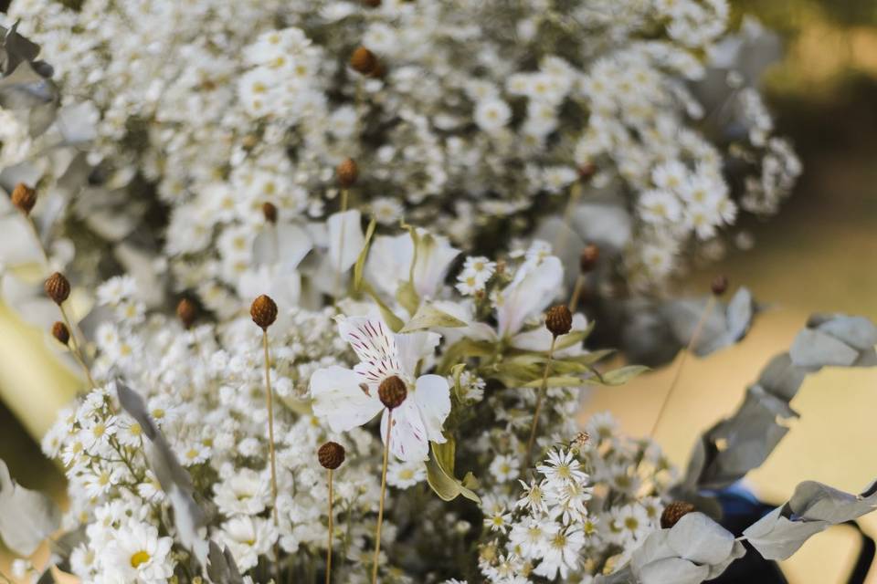 Flores secas