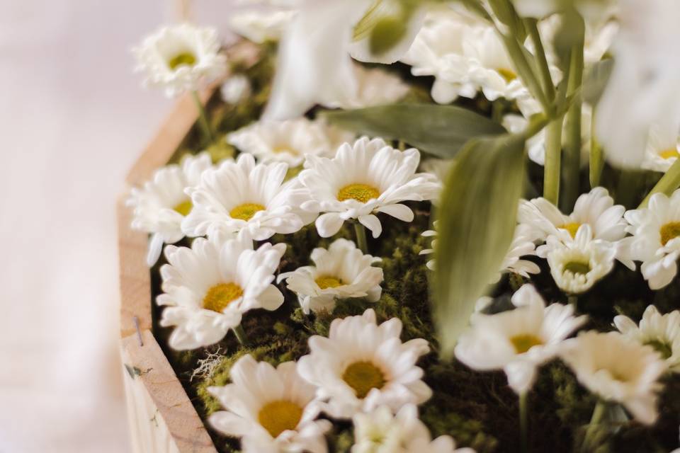 Mini flores
