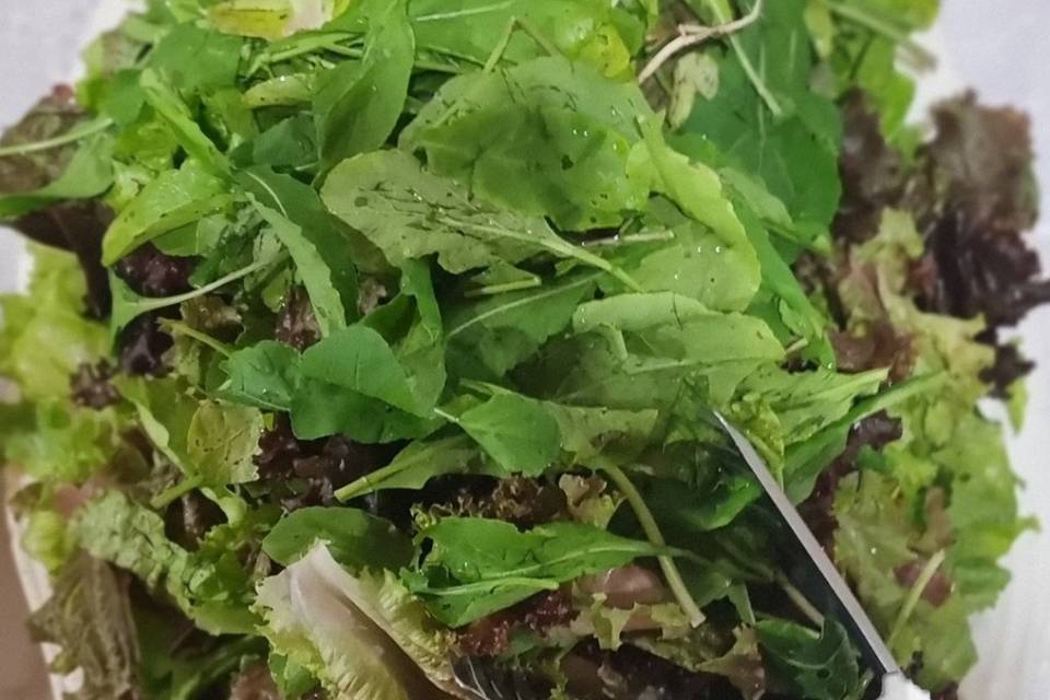 🇧🇷 Salada folhas