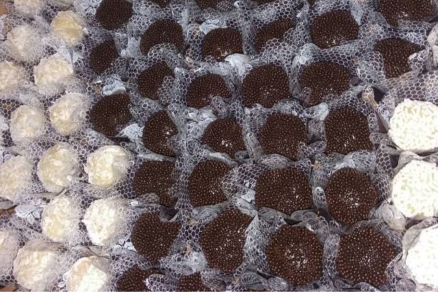 Brigadeiros gourmet