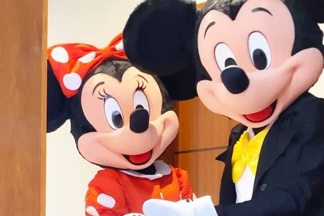 Casal Mickey e Minnie