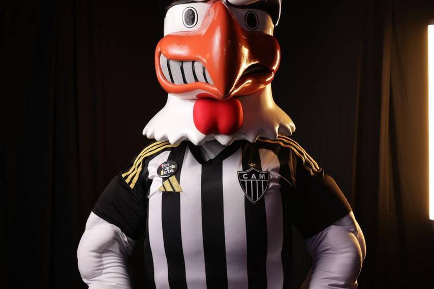 Galo Doido