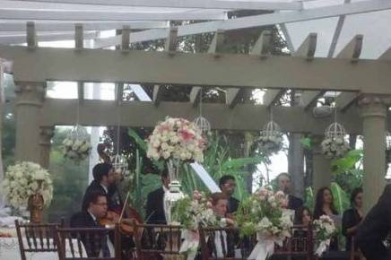 Música ao vivo