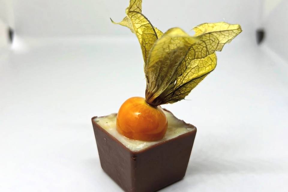 Copinho nutella Physalis