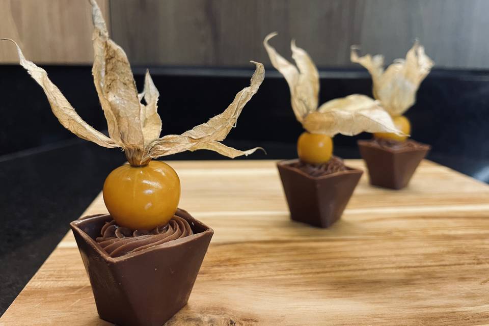 Copinho Physalis