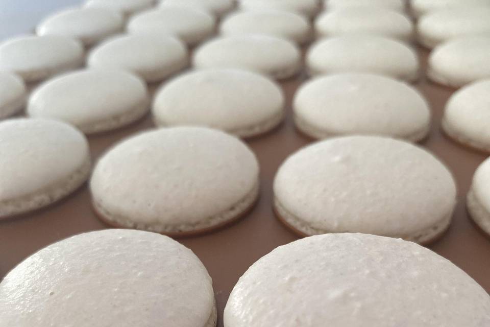 Doce Encanto Macarons