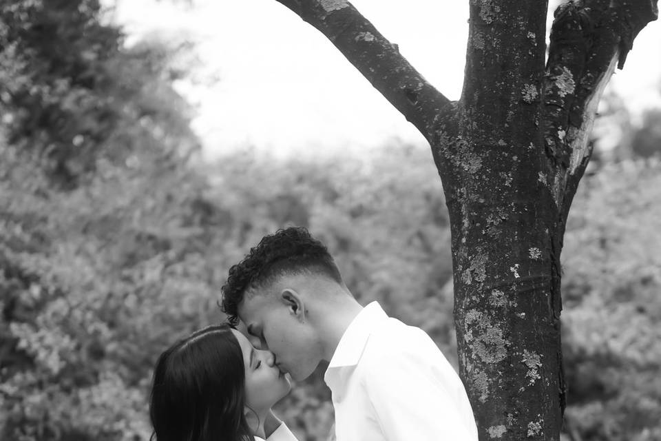 Storymaker de Casamento