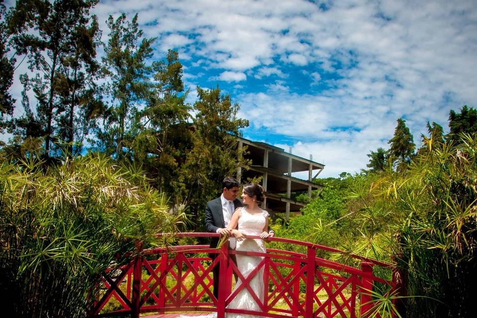 Trash the Dress- MG