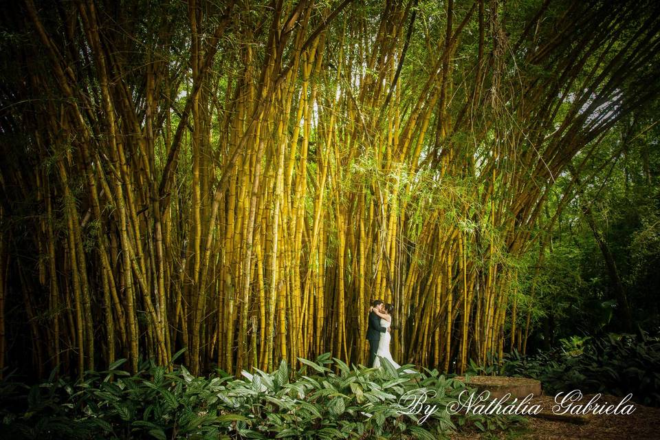 Trash the Dress- MG