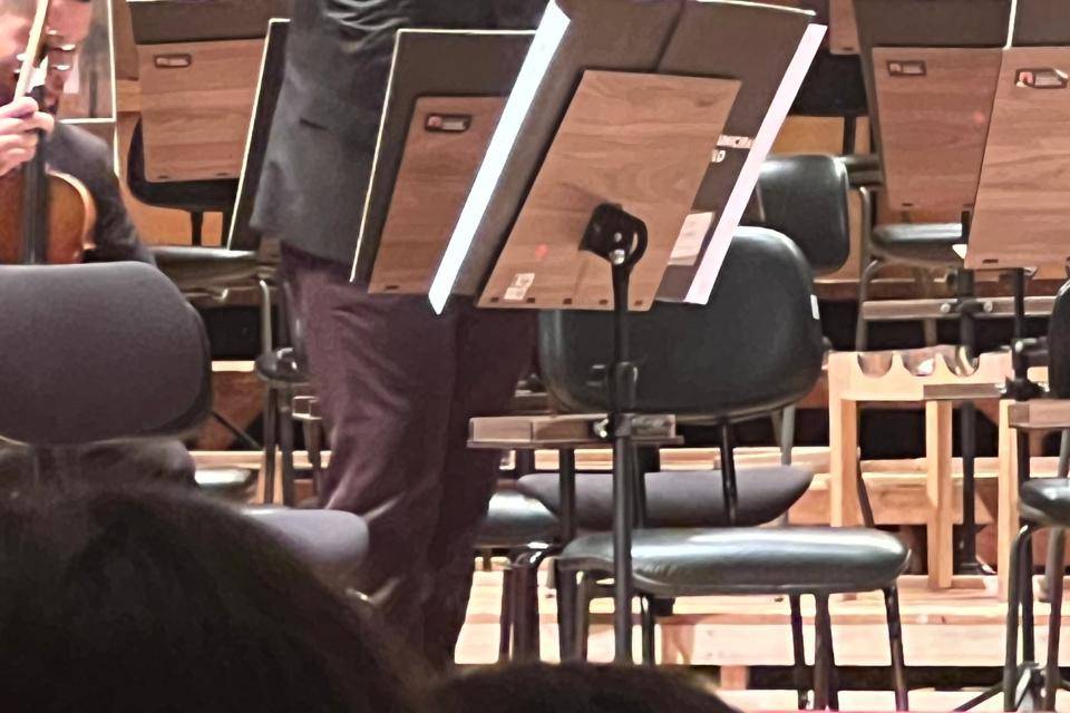 Violinista profissional