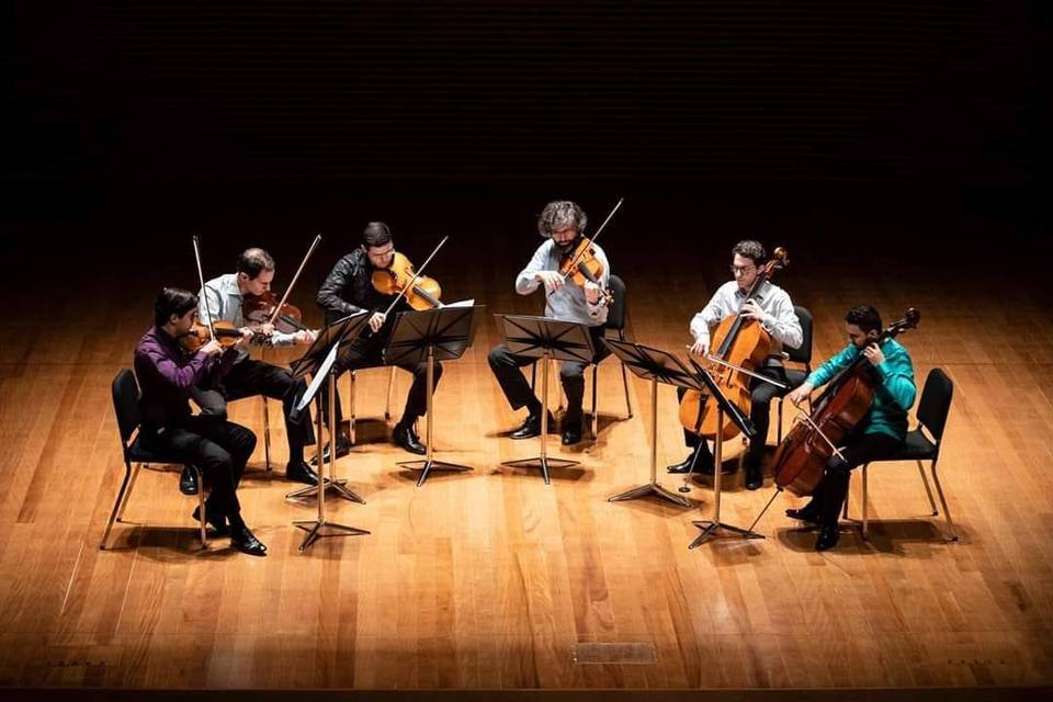 Rodrigo Braga Violinista