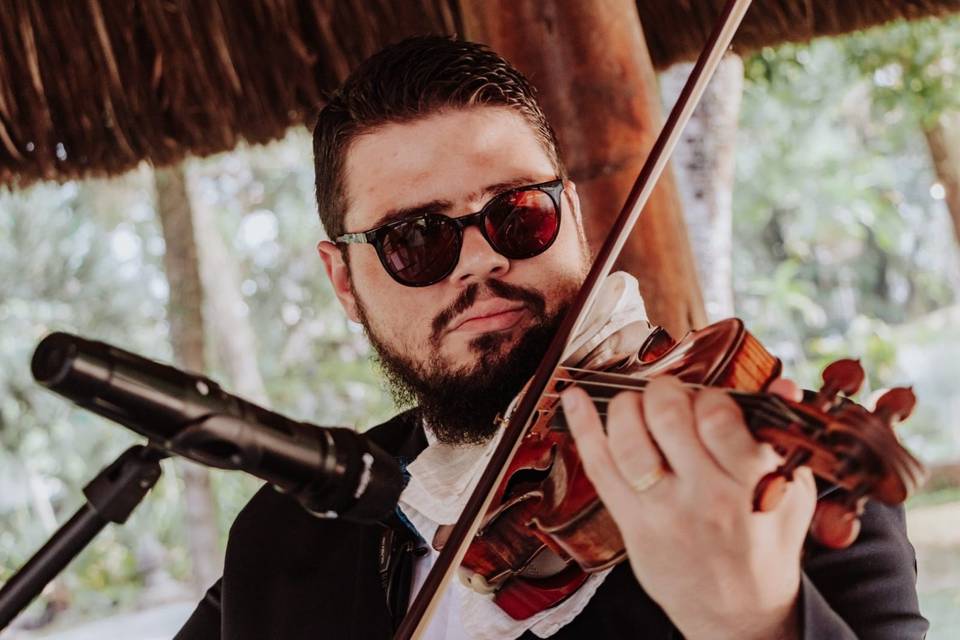 Violinista