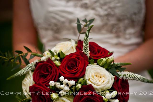 Leo Dominguez Photography