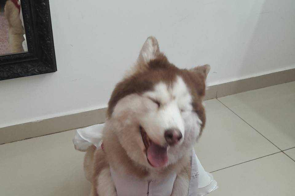 Muito feliz para o casamento