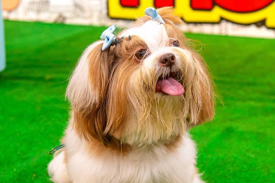 Um modelo né?