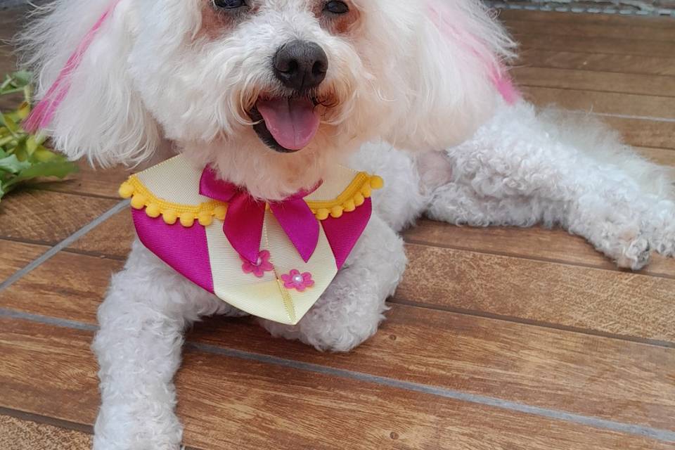 Pronta para festejar