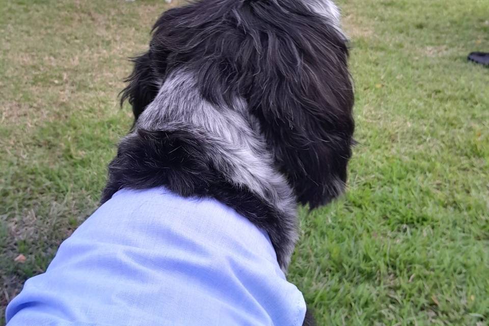 Observando tudo!