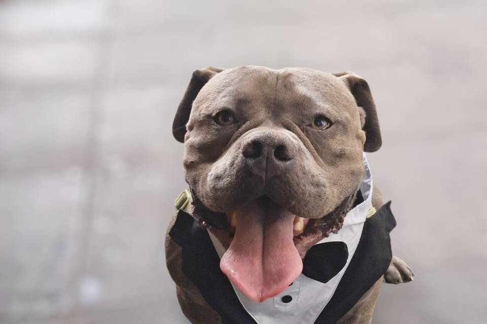 Ralph