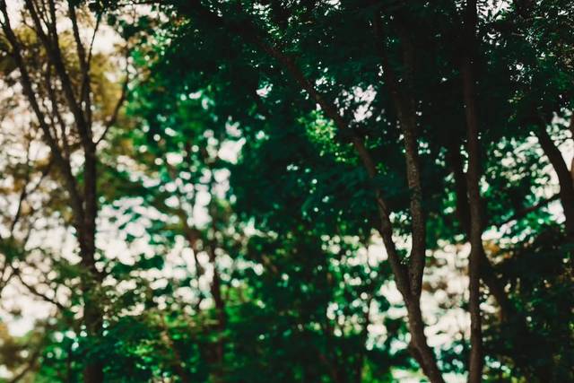 Marquês Photo