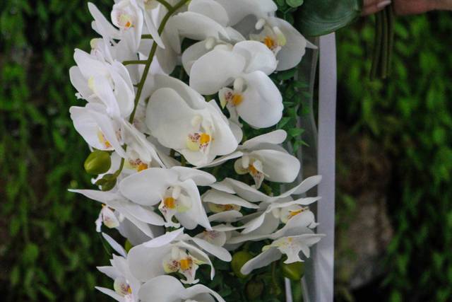 Buquê Cascata de Orquídeas