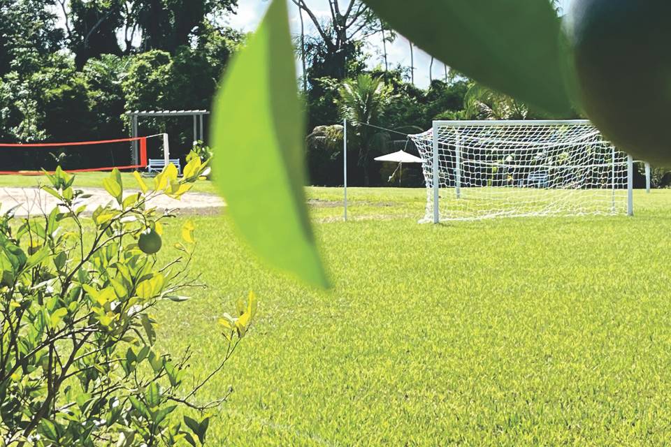 Vista das frutas e quadras