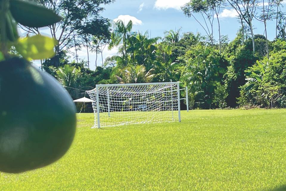 A laranja e o gol