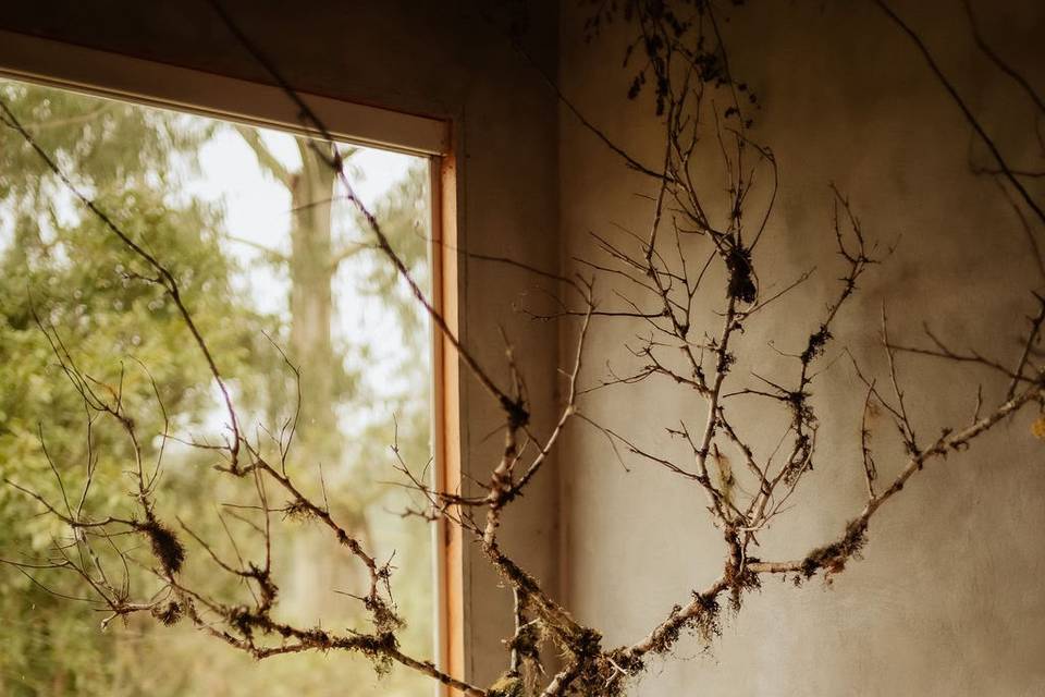 Detalhe