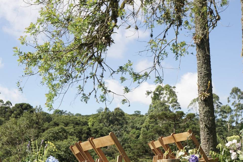 Casamento nas araucárias