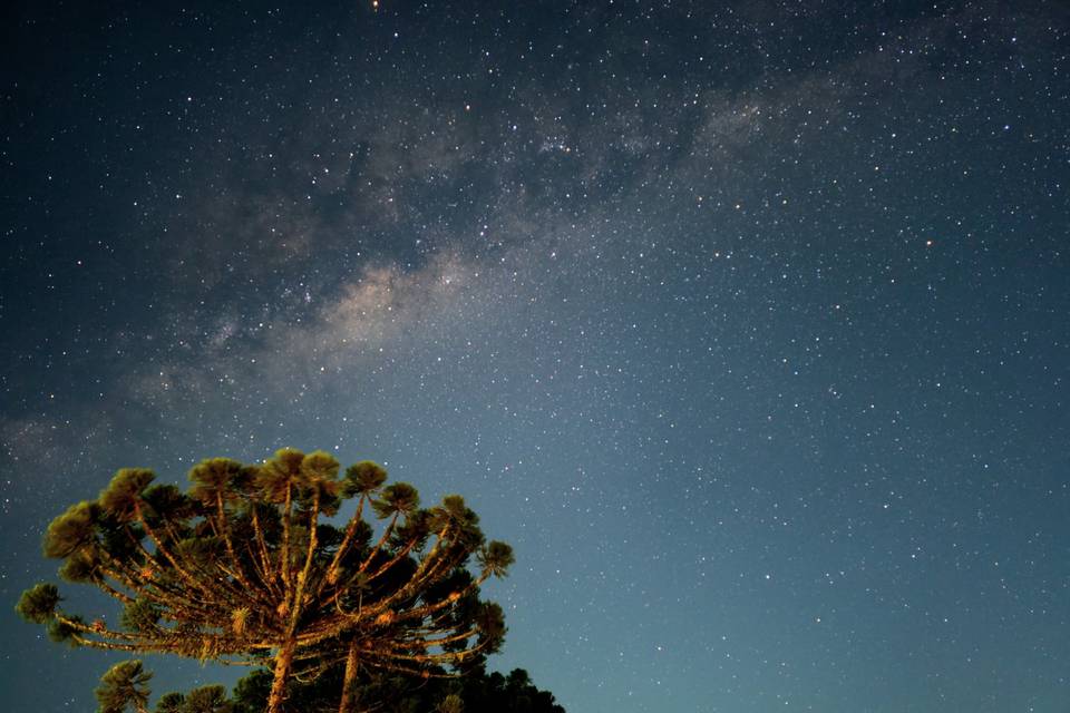 Céu estrelado