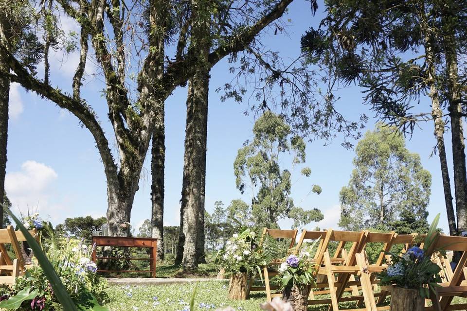 Casamento nas araucárias