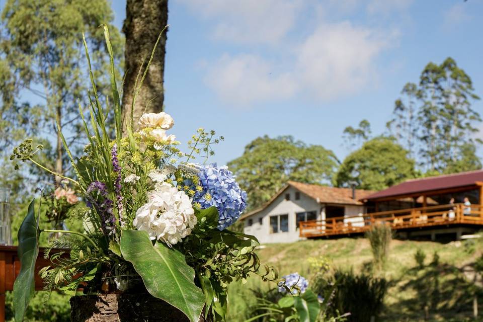 Casamento nas araucárias