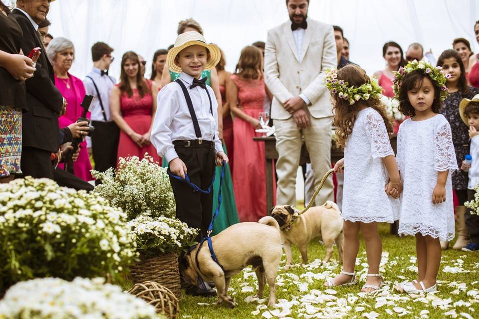 Casamento - pet friendely