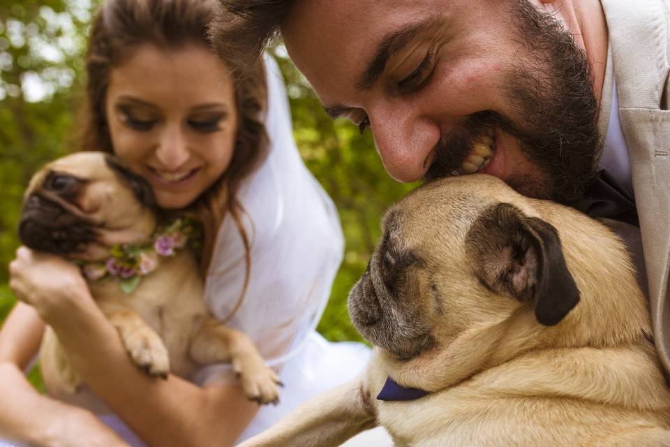 Casamento - pet friendely