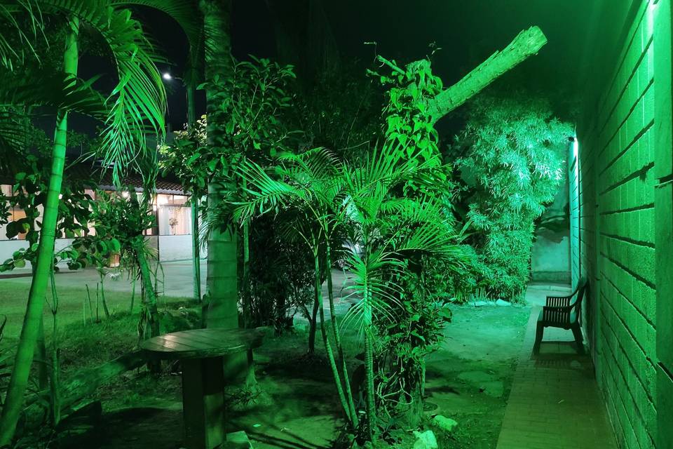 Bosque ideal para fumantes