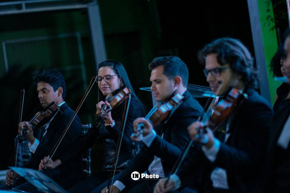 Cordas - violinistas