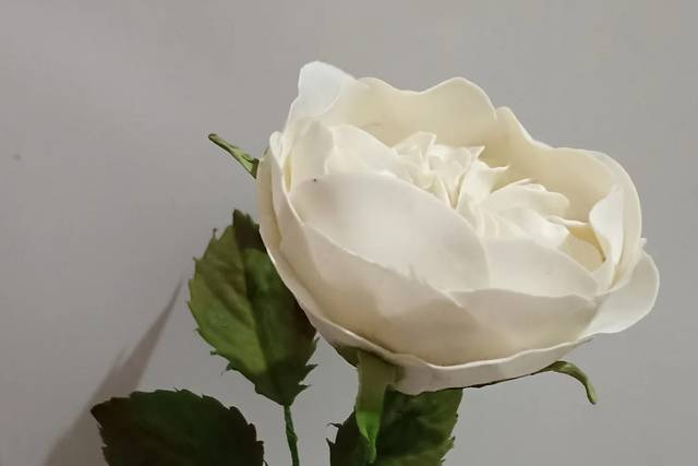 Flor de açúcar