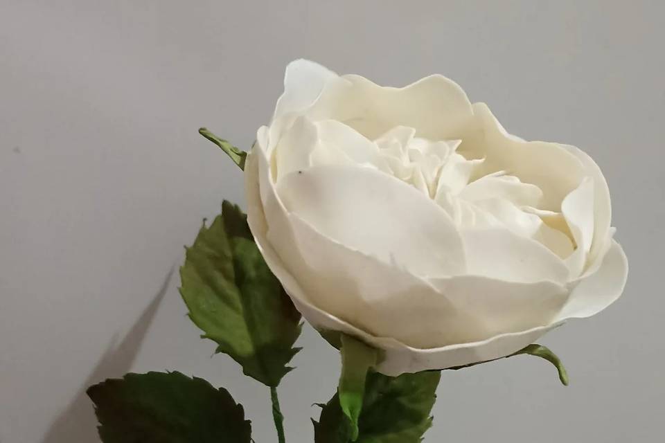 Flor de açúcar