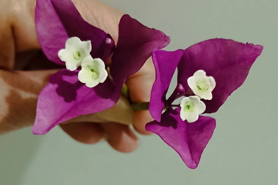 Flores de açúcar