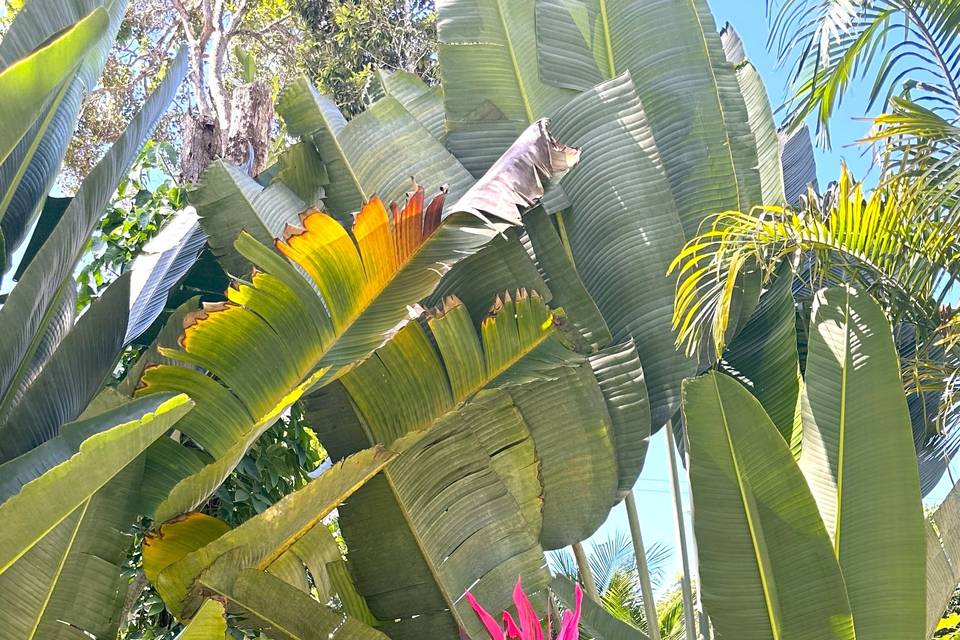 Casar na Bahia