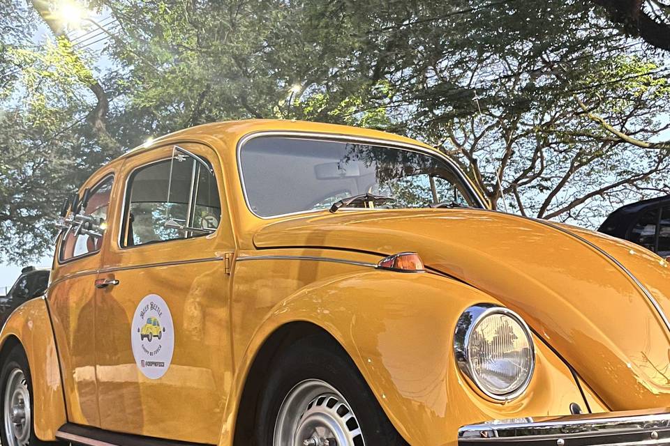 Beer Beetle