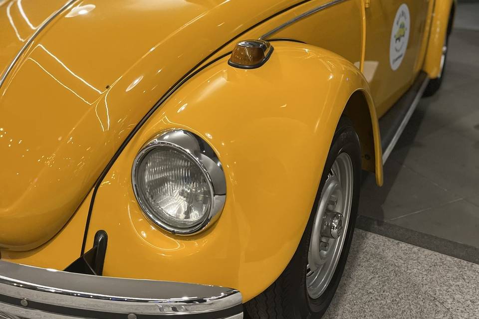 Beer Beetle