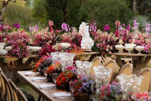 Sunflower Eventos